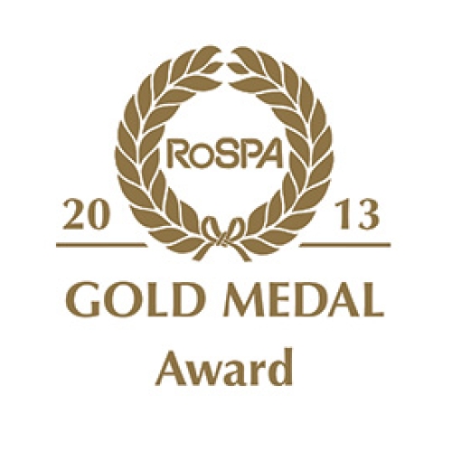 gold-MEDAL-award-2013.jpg