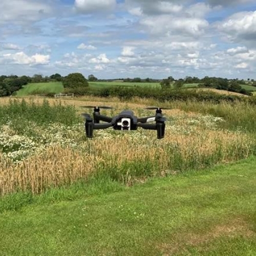 Green apple award.jpg