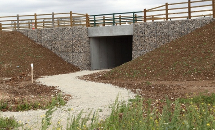 4. A2 Activity Pk 2.jpg