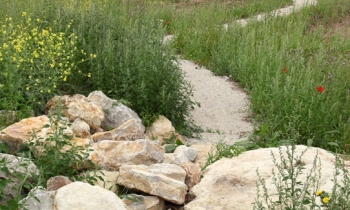 4. A2 Activity Pk 3.jpg