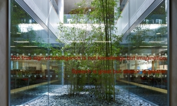 UELN_TS_N64 for web.jpg