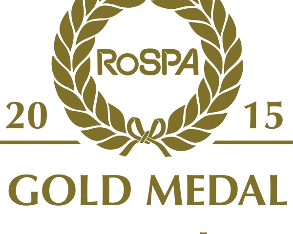 gold MEDAL award 2015.jpg
