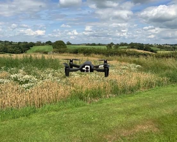 Green apple award.jpg