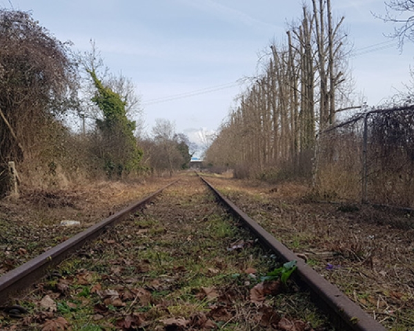 Bristol MetroWest - current disused line between Bristol and Portishead (WEB).jpg