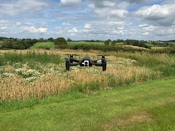 Green apple award.jpg