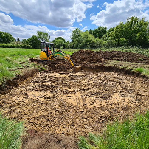 digger web.jpg