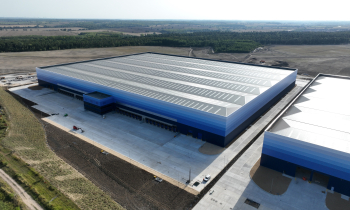 corby 9