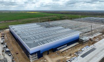 corby 6