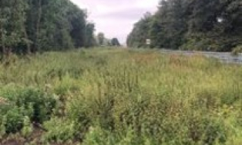 Picture1.jpg