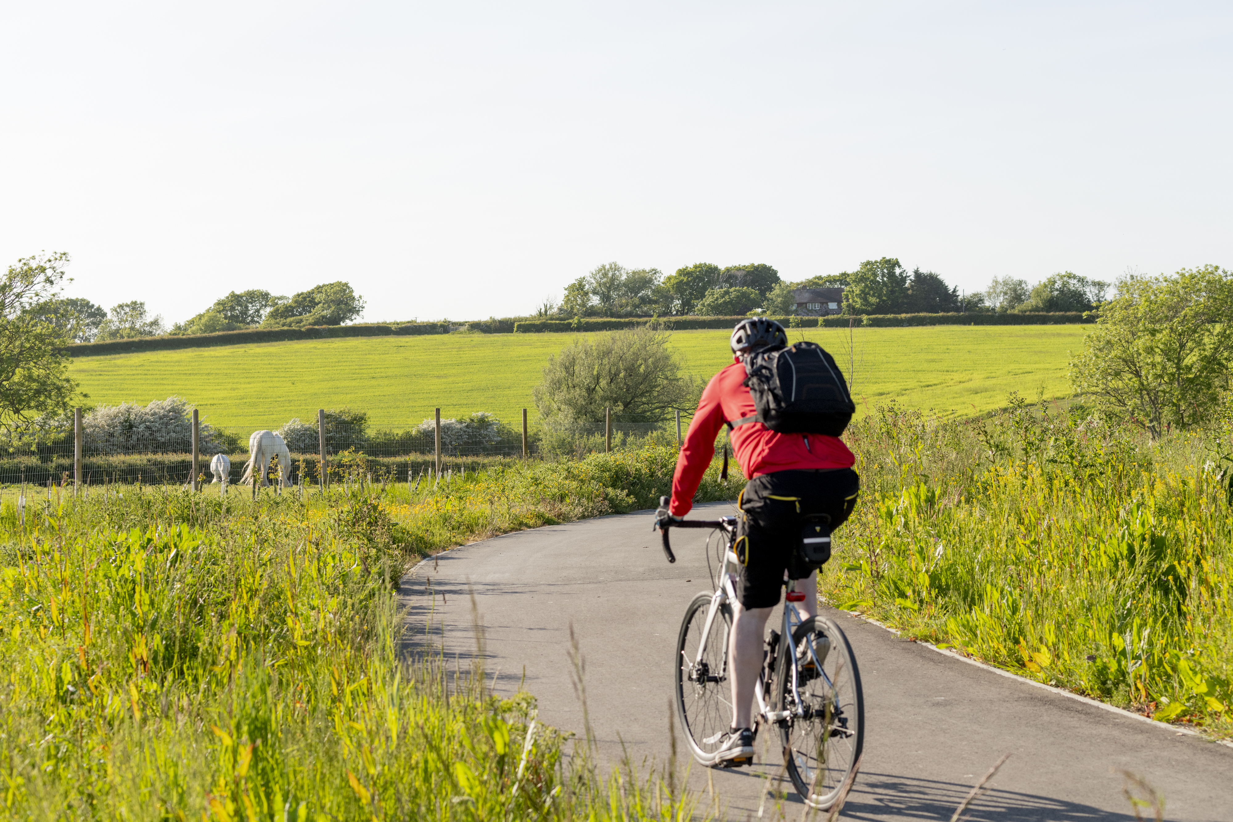 A27_East_of_Lewes_Environment_Shoot_05_23-157.jpg